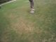 Golf2_017