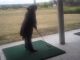 Golf2_043