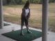 Golf2_050