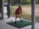 Golf2_055