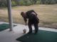 Golf2_059