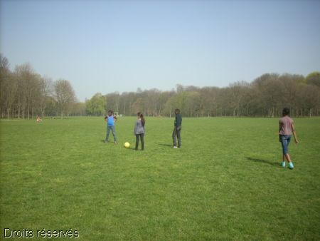 DSCN0287