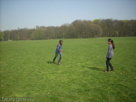 DSCN0288