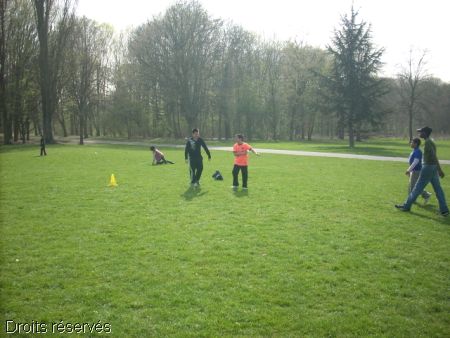 DSCN0293