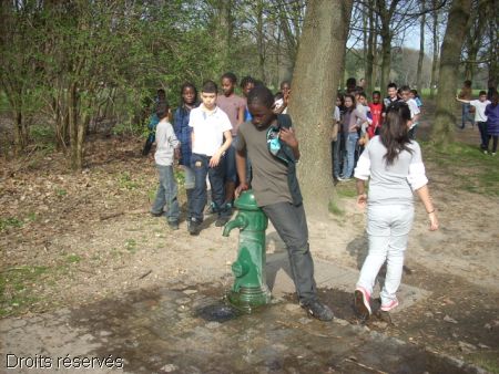 DSCN0322