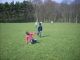 DSCN0286