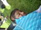 DSCN0306