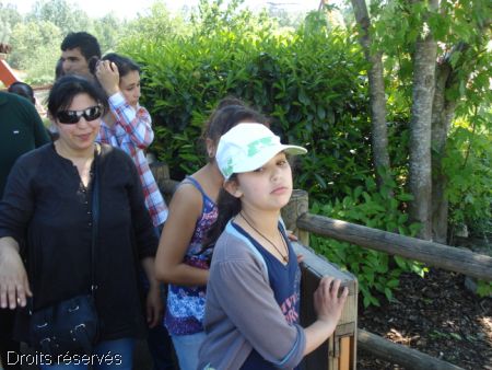 DSC09054