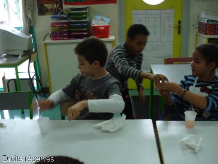 DSC09447